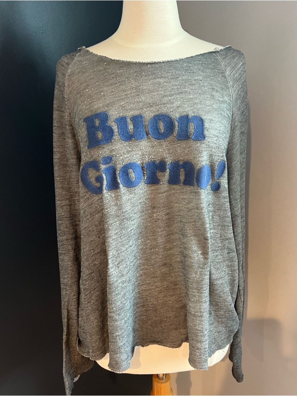 Wildfox Buon Giorno Graphic Sweatshirt Gray Size Small